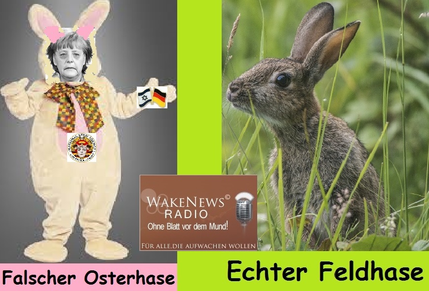 Falscher Osterhase Merkel - Wake News