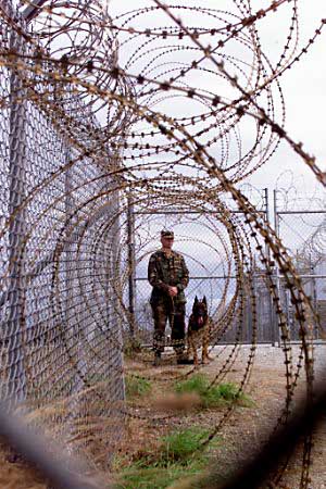 delme-fema-camp-soldier-dog-fence