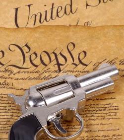 polls_right_to_bear_arms_1123_699215_poll_xlarge